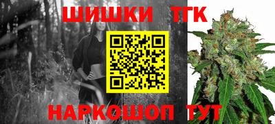 дмт Славгород
