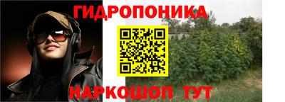 дмт Славгород