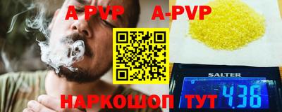 дмт Славгород